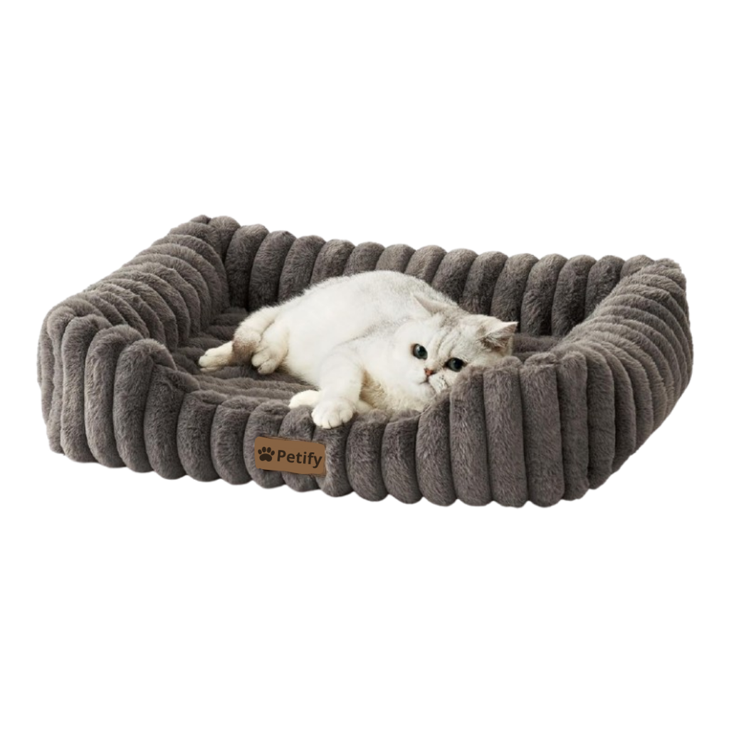 Orthopedic Dog Bed for Small Dogs & Cats