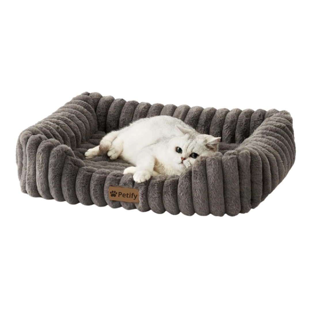 Orthopedic Dog Bed for Small Dogs & Cats