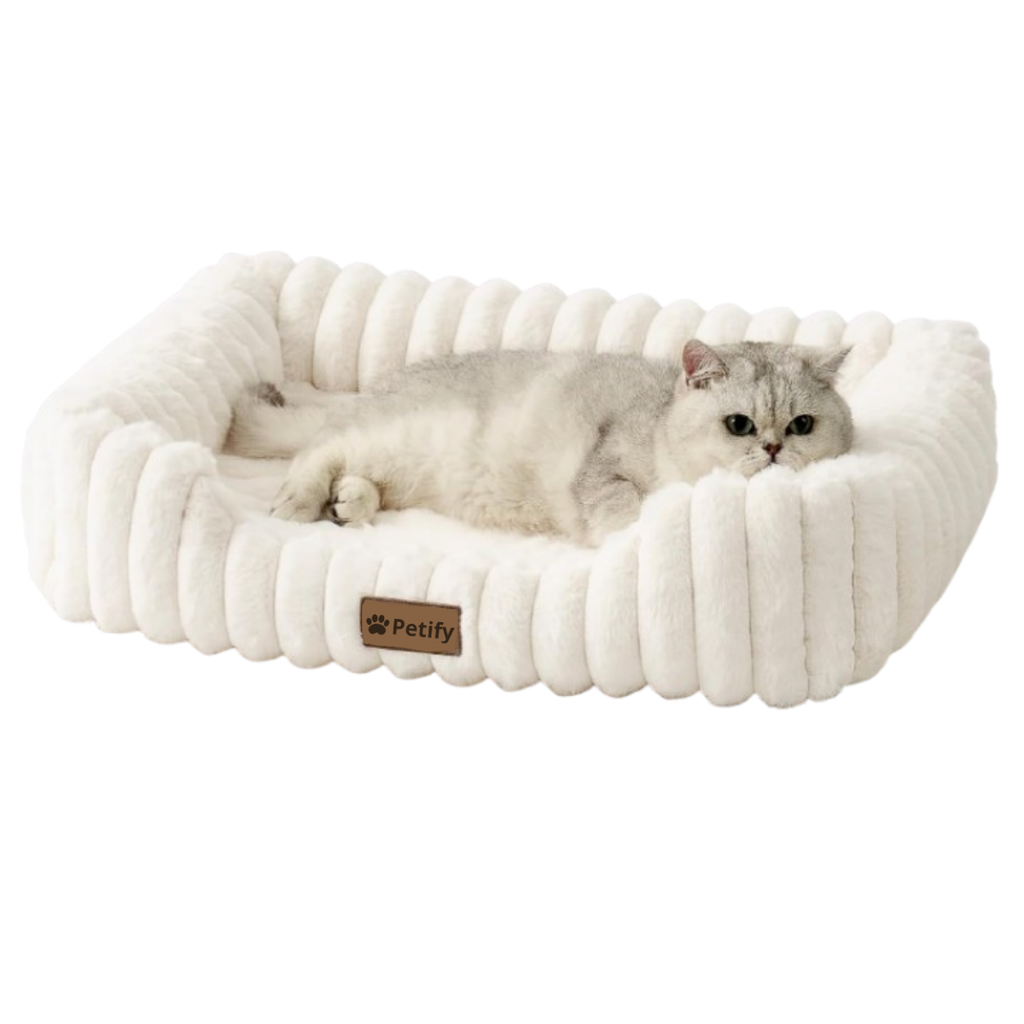 Orthopedic Dog Bed for Small Dogs & Cats